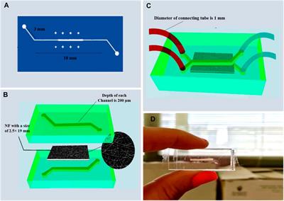Characterization and numerical simulation of a new microfluidic device for studying cells-nanofibers interactions based on collagen/PET/PDMS composite